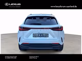 Lexus NX 350 h Executive Line,243 PS,Tech,Interieur - Lexus NX Executive