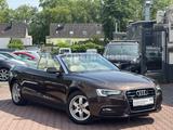 Audi A5 Cabriolet 1.8 TFSI*TÜV 07/28*AUTOMATIK*TEMPO* - gebrauchte Audi A5 aus dem Jahr 2013