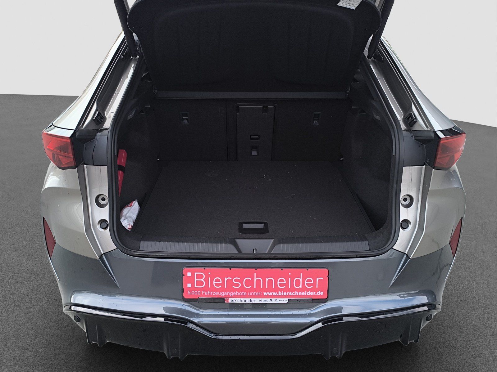 Cupra Tavascan - Bild 24