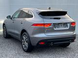 Jaguar F-Pace F-PACE R-Sport AWD - Jaguar in Bochum