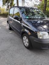 Fiat Panda - Fiat Panda Gebrauchtwagen in Wuppertal
