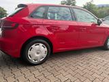 Audi A3 Sportback 30 TFSI basis - Audi A3: Rot