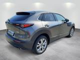 Mazda CX-30 Selection 122 PS Schalter Design-Paket Al - gebrauchte Mazda CX-30 aus dem Jahr 2022