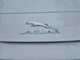 Jaguar F-Type 5.0 L V8 S Kompressor S - Jaguar F-Type mit Benzin-Antrieb: Cabrio, 5.0