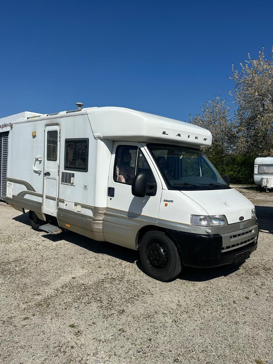 Laika mit Festbett und aus erster Hand