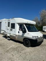 Laika mit Festbett und aus erster Hand - Angebote