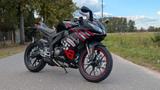 Aprilia RS 125 GP Replica // MY2025 - APRILIA NEU RS 125