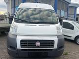 Fiat Ducato Hochr.-Kasten 30 115 Kühlwagen - Fiat Ducato: 11