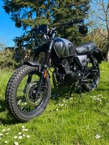 Brixton Felsberg 125  - BRIXTON FELSBERG 125