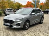 Ford Kuga ST-Line X Panorama Technologie Paket Winter - Ford Kuga Jahreswagen