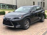 Lexus NX 300 300h E-FOUR Executive Line Executive Line - Lexus NX 300 von privat