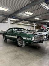 Ford Mustang 1969 Shelby GT350 Fastback   351 Windsor - Ford Mustang: Gt350