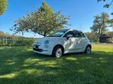 Fiat 500 Italy - Fiat 500: It
