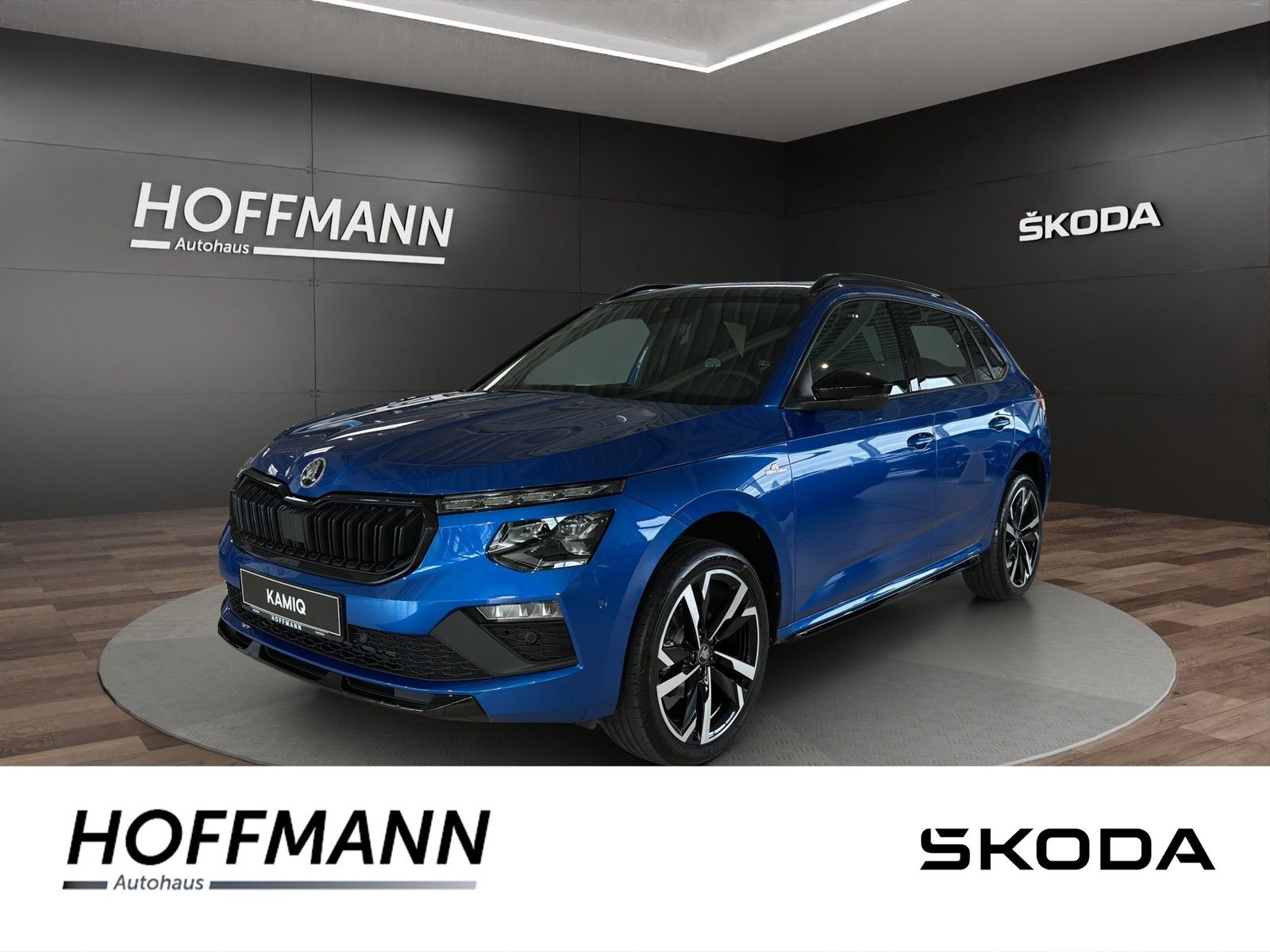 Fahrzeugbild von Skoda Kamiq