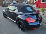 Volkswagen Beetle 1.4 TSI DSG Sport Cabriolet Sport - Volkswagen Beetle mit Benzin-Antrieb: Cabrio, 1.4