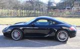 Porsche Cayman S TOP-Ausstatung sehr gepflegt - Porsche Cayman: Sportwagen