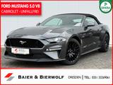 Ford Mustang 5.0VVT-i GT Convertible 55 YEARS DT. FZG - Ford Mustang in Mannheim