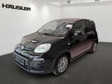 Fiat Panda 1.0 Klimaanlage Multifunktionslenkrad Star
