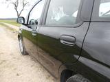 Fiat New Panda 1.2 EASY - Fiat New Panda Benziner Gebrauchtwagen