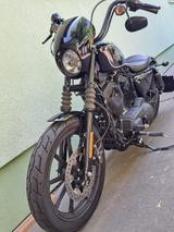 Harley-Davidson XL 1200 Iron - Harley-Davidson Motorräder in Mainz