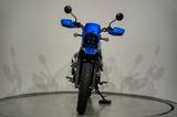 Honda CL 500 Scrambler *Arnold Edition* - HONDA SCRAMBLER