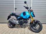 Honda MSX 125 Grom*1. Hand*Raximo Hebel*unfallfrei* - HONDA MOTORRAD