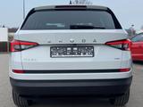 Skoda Kodiaq 2.0 TSI DSG 4x4 Clever 7-SITZER AHK+SMART - weiße Skoda Kodiaq