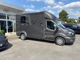 Ford Transit Pritsche 350 L3 Einzelkabine Trail - Angebote