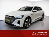 Audi Q8 e-tron ADVANCED QUATTRO 55 AHK.MATRIX.LEDER.K - weiße Audi Q8 e-tron