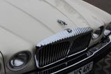 Jaguar  Jaguar XJ12 Oldtimer - Jaguar XJ12: Limousine