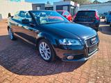 Audi A3 Cabriolet Ambition*LEDER*XENON*NAVI*SHZ*GARAN - Audi A3 aus 2011