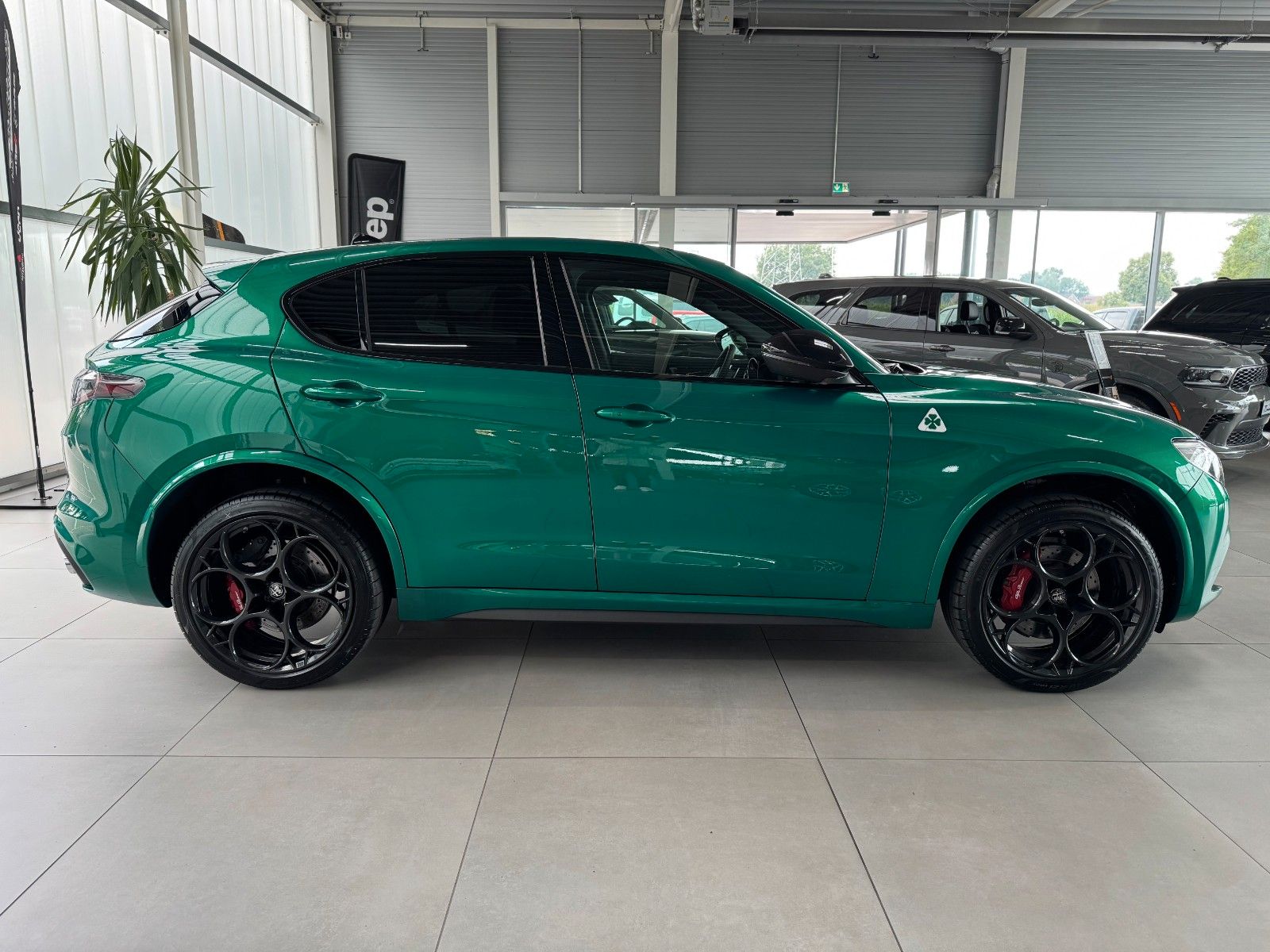 Fahrzeugabbildung Alfa Romeo Quadrifoglio Q4 ACC Assist-Paket Pano Garantie