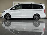 Mercedes-Benz V 300 d EXCLUSIVE EDITION Amg Line 4MATIC lang - Mercedes-Benz V 300: Exclusive