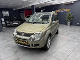Fiat Panda 1.3 JTD Cross 4X4 *Panorama *AHK *Klima * - Fiat Panda CROSS