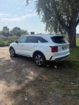 Kia Sorento 1.6 T-GDI Plug-in Hybrid AWD Platinu... - Kia Sorento in Ludwigshafen