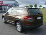 Skoda Kodiaq 1.5 TSI DSG AAC LED Navi AHK Sound SHZ - Skoda aus 2019