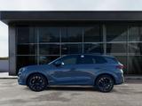 Cupra Terramar 2.0TSI 195kW (265 PS) 4Drive VZ LED Nav - Gebrauchtwagen in Hamm