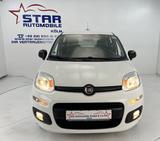 Fiat Panda More*1,2-51KW*I.HAND*KLIMA*ESP*SERVO*ABS*+ - Fiat Panda Gebrauchtwagen