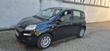Fiat Panda 1.0 GSE Hybrid CITY PLUS CITY PLUS - Fiat Panda in Bonn
