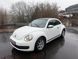 Volkswagen Beetle 1,2 TSI/Pano/Tüv Au Neu ! - Volkswagen Beetle: Weiß