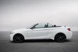 BMW 220i Steptronic Cabrio M Sport M Sport - BMW 2er Reihe von privat