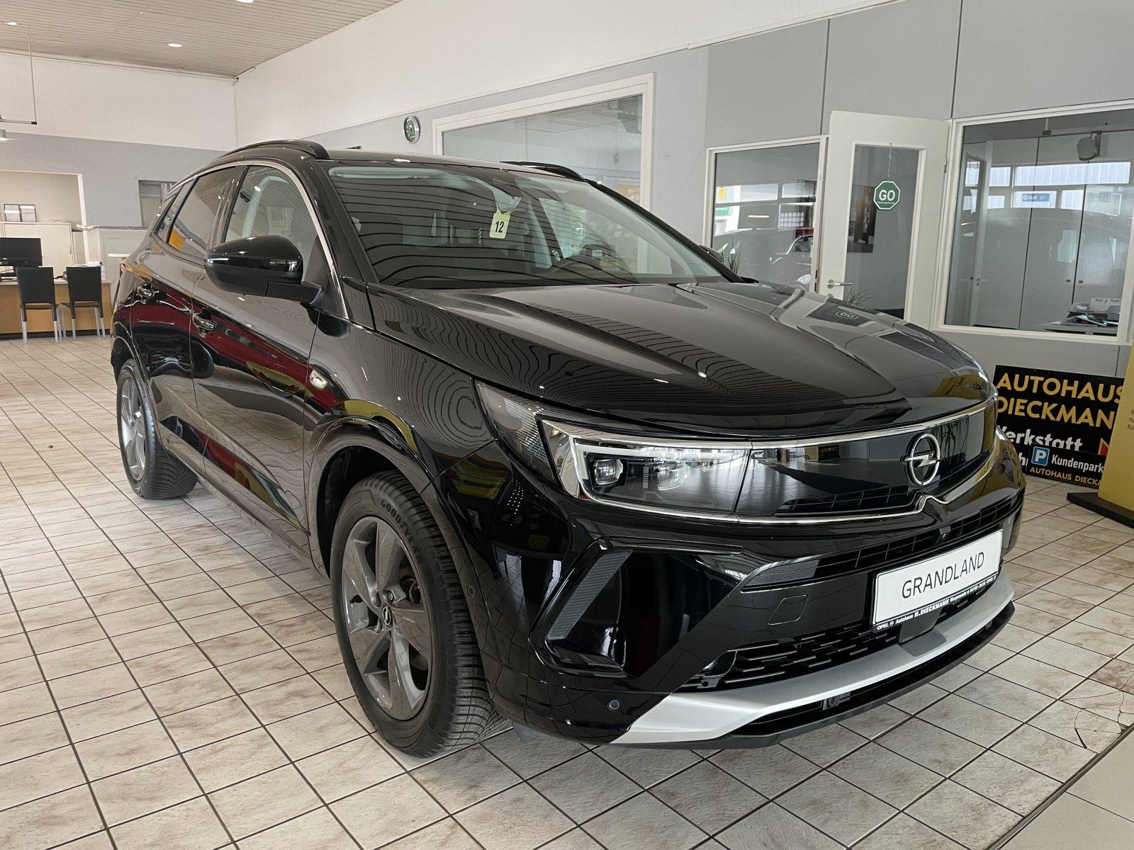 Opel Grandland Ultimate Navi SHZ LHZ LED Matrix E-Hec