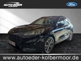 Ford Kuga ST-Line leichter Hagelschaden Sportpaket - Ford mit Benzin-Antrieb: Hagelschaden