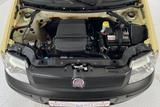 Fiat Panda 8 V Active*1,1-40kW*AIRBAG*ABS*SERVO*USB*+ - Fiat Panda: Kleinwagen