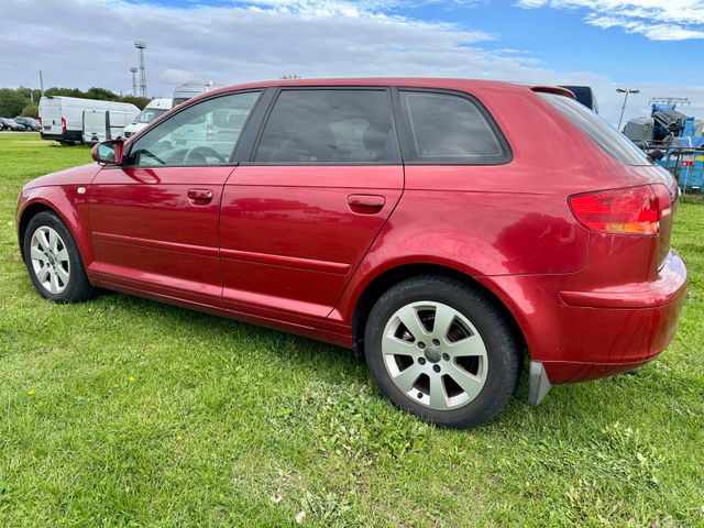 Audi A3 Sportback 1.6 FSI Ambiente — Bild 2
