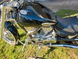 Suzuki Intruder vs 1400 - Offers