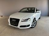 Audi A3 Cabriolet Ambition/2.Hand/SHZ/Xenon/AHK/125PS - Audi A3: Cabrio, 1.2