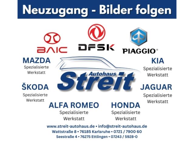 DFSK Andere