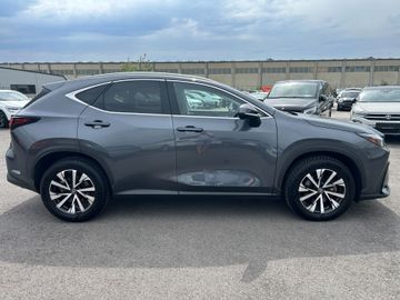 Lexus NX 350h - 7