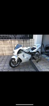 Suzuki RGV 250 - SUZUKI RG